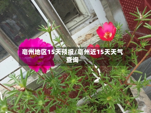 亳州地区15天预报/亳州近15天天气查询