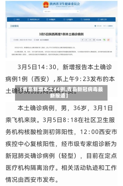 【青岛新增本土44例,青岛新冠病毒最新报道】