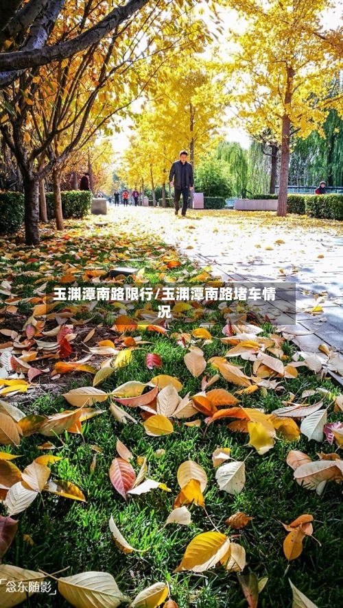 玉渊潭南路限行/玉渊潭南路堵车情况
