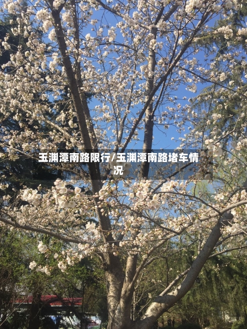 玉渊潭南路限行/玉渊潭南路堵车情况