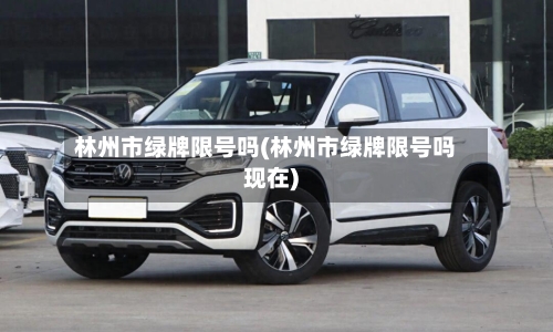 林州市绿牌限号吗(林州市绿牌限号吗现在)