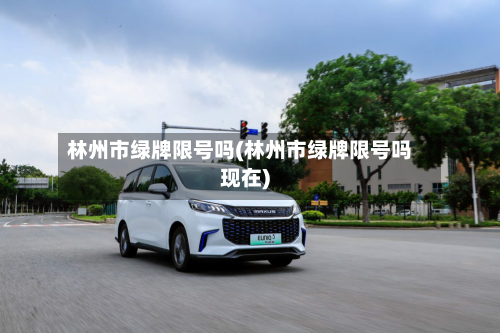 林州市绿牌限号吗(林州市绿牌限号吗现在)