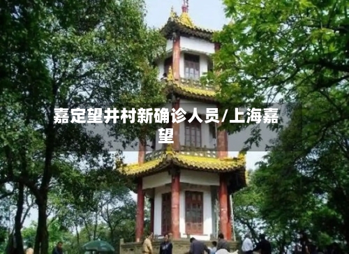 嘉定望井村新确诊人员/上海嘉望