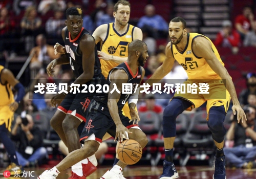 戈登贝尔2020入围/戈贝尔和哈登