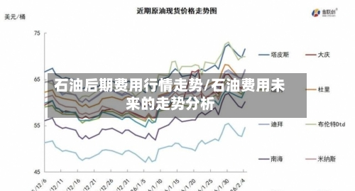 石油后期费用行情走势/石油费用未来的走势分析