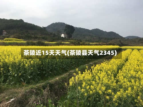 茶陵近15天天气(茶陵县天气2345)