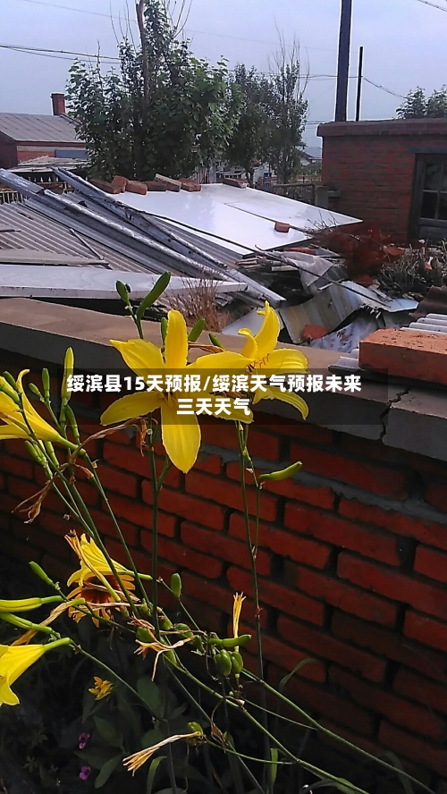 绥滨县15天预报/绥滨天气预报未来三天天气