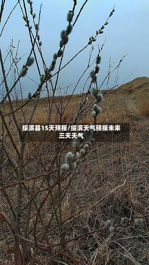 绥滨县15天预报/绥滨天气预报未来三天天气