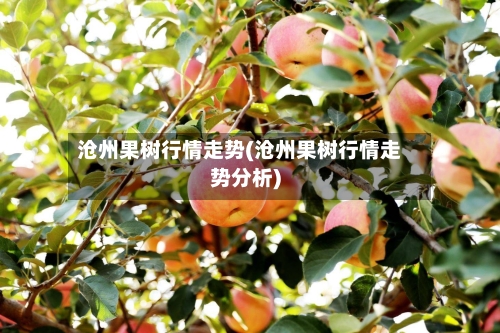 沧州果树行情走势(沧州果树行情走势分析)