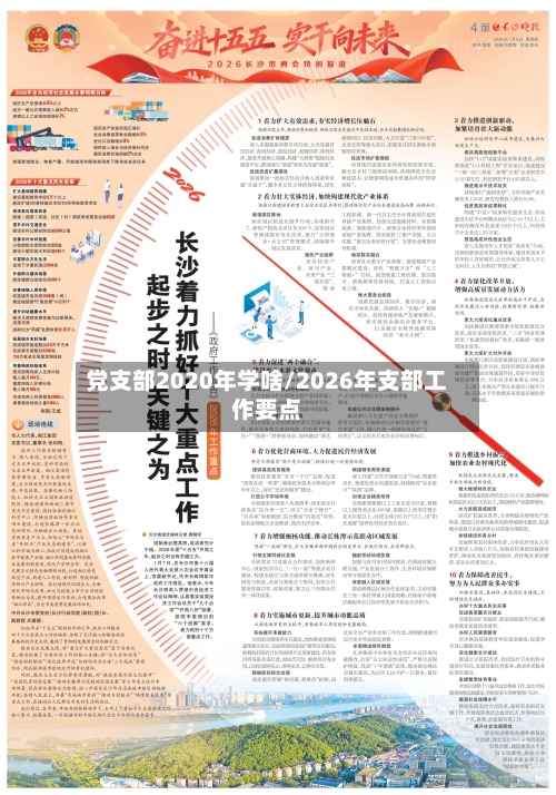 党支部2020年学啥/2026年支部工作要点