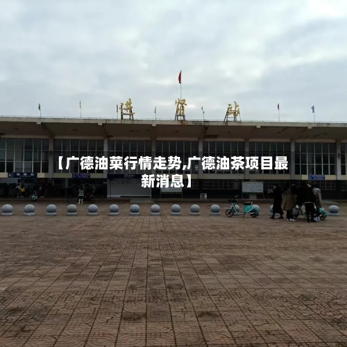 【广德油菜行情走势,广德油茶项目最新消息】