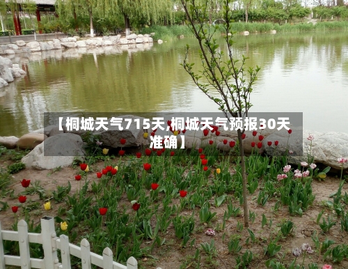 【桐城天气715天,桐城天气预报30天准确】