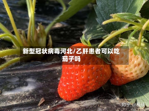 新型冠状病毒河北/乙肝患者可以吃茄子吗