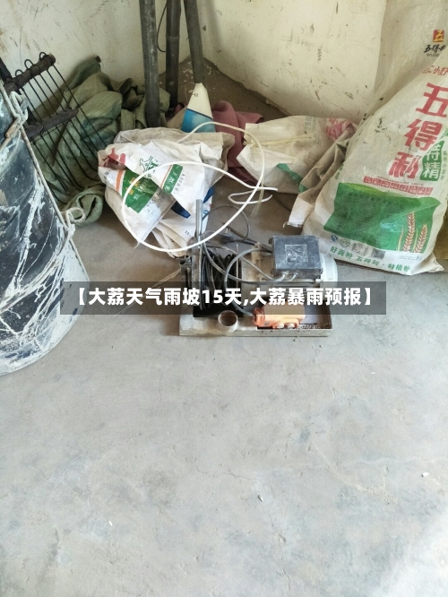 【大荔天气雨坡15天,大荔暴雨预报】