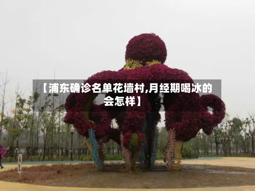 【浦东确诊名单花墙村,月经期喝冰的会怎样】