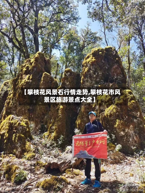 【攀枝花风景石行情走势,攀枝花市风景区旅游景点大全】