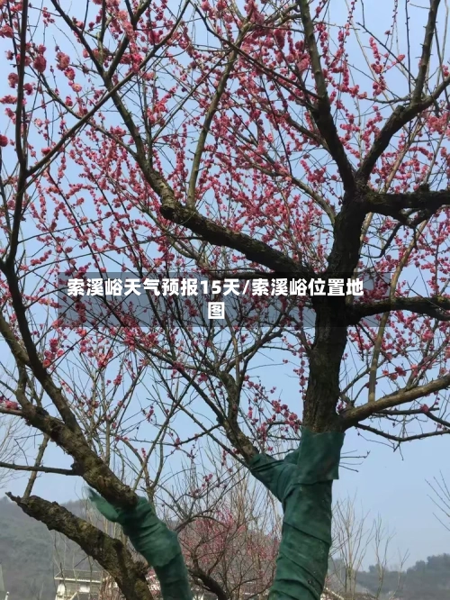 索溪峪天气预报15天/索溪峪位置地图