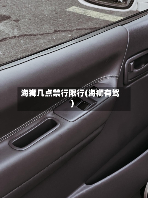 海狮几点禁行限行(海狮有驾)