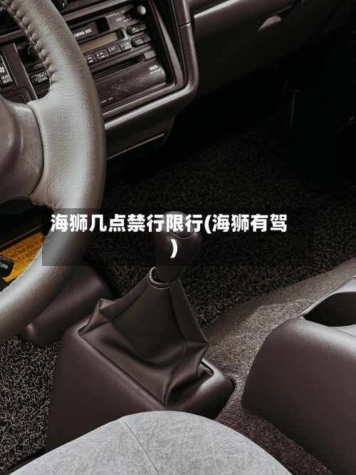 海狮几点禁行限行(海狮有驾)