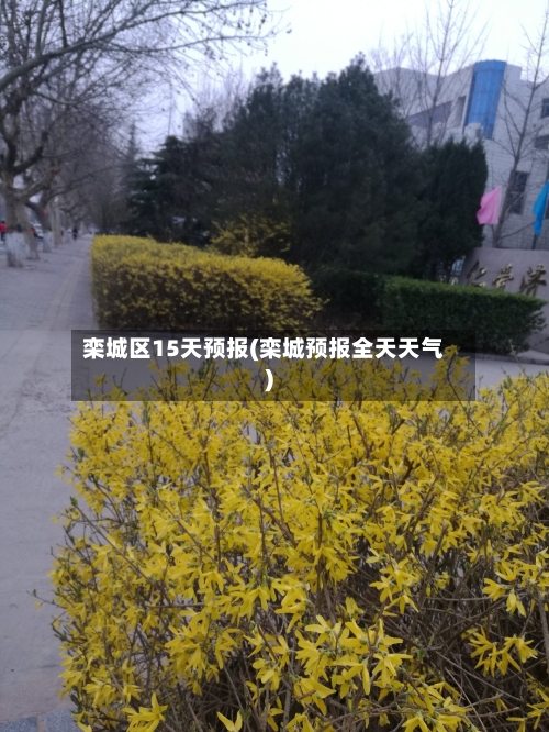 栾城区15天预报(栾城预报全天天气)