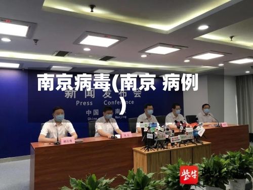 南京病毒(南京 病例)