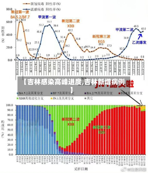 【吉林感染高峰进度,吉林新增病例】