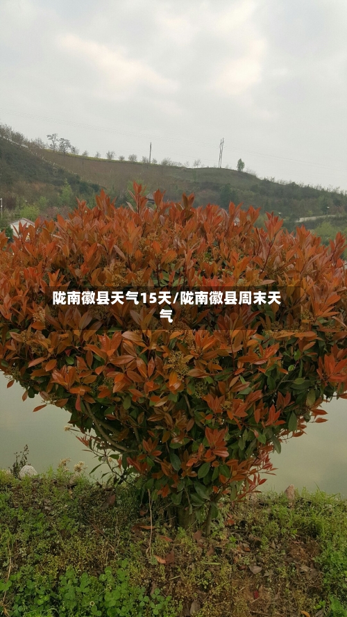 陇南徽县天气15天/陇南徽县周末天气