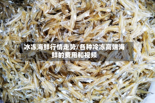 冰冻海鲜行情走势/各种冷冻高端海鲜的费用和视频