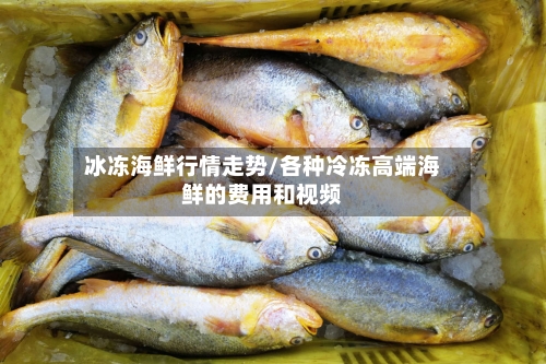 冰冻海鲜行情走势/各种冷冻高端海鲜的费用和视频