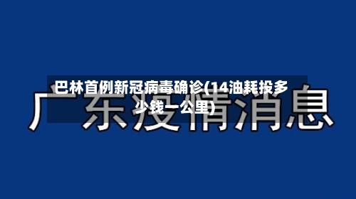 巴林首例新冠病毒确诊(14油耗投多少钱一公里)