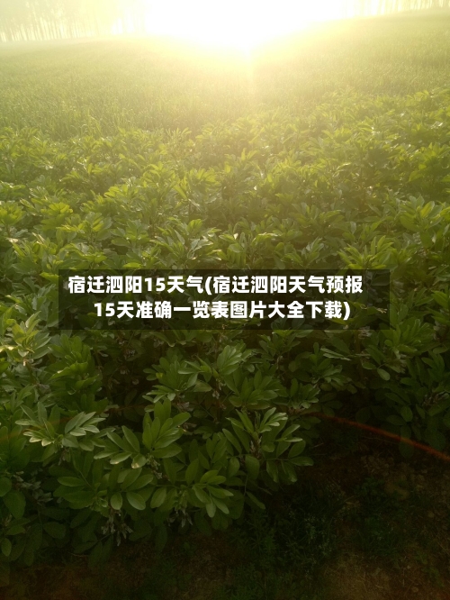 宿迁泗阳15天气(宿迁泗阳天气预报15天准确一览表图片大全下载)
