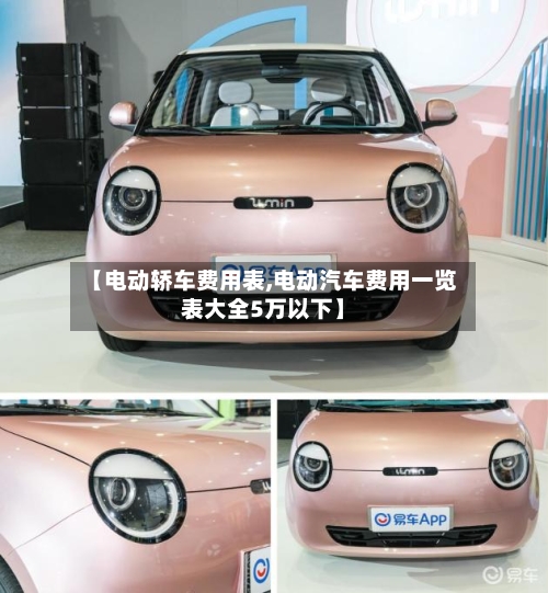 【电动轿车费用表,电动汽车费用一览表大全5万以下】