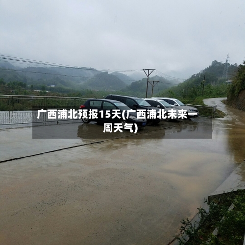 广西浦北预报15天(广西浦北未来一周天气)