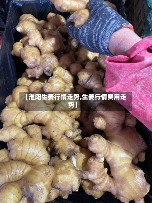 【淮阳生姜行情走势,生姜行情费用走势】