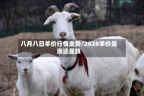 八月八日羊价行情走势/2028羊价是涨还是跌