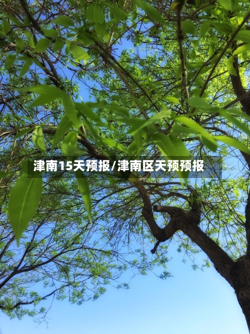 津南15天预报/津南区天预预报