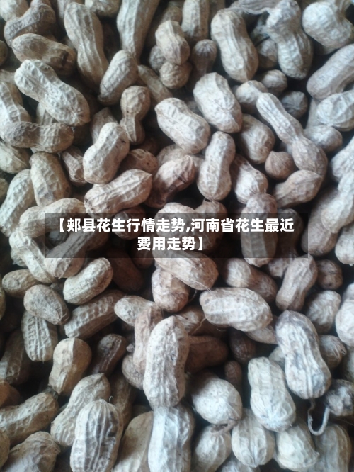 【郏县花生行情走势,河南省花生最近费用走势】