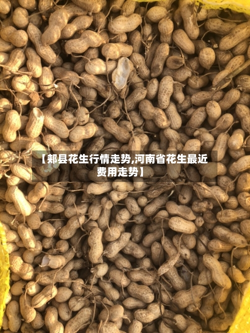 【郏县花生行情走势,河南省花生最近费用走势】
