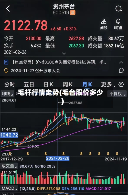 毛杆行情走势(毛台股价多少)