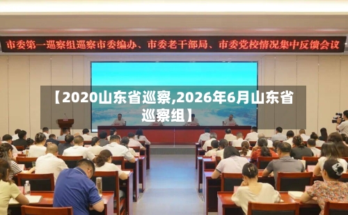 【2020山东省巡察,2026年6月山东省巡察组】