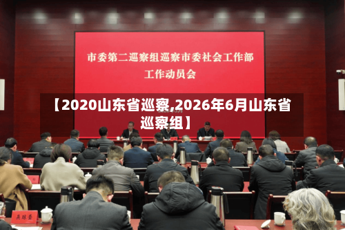 【2020山东省巡察,2026年6月山东省巡察组】
