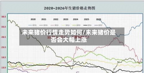 未来猪价行情走势如何/未来猪价是否会大幅上涨