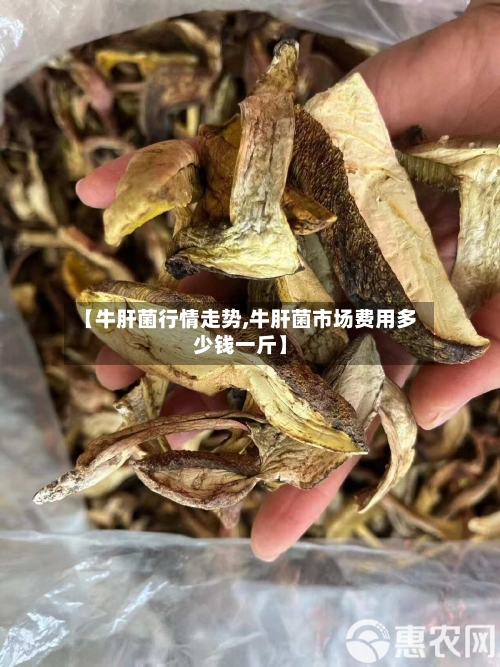 【牛肝菌行情走势,牛肝菌市场费用多少钱一斤】