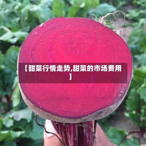 【甜菜行情走势,甜菜的市场费用】