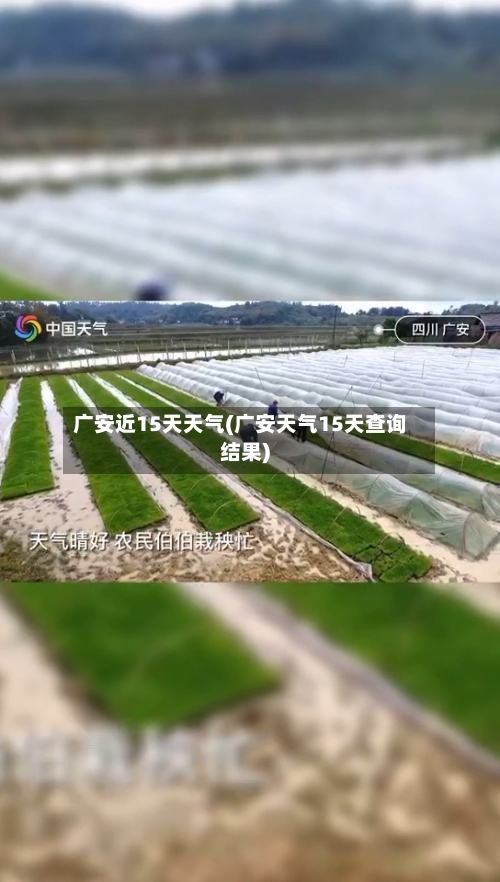 广安近15天天气(广安天气15天查询结果)