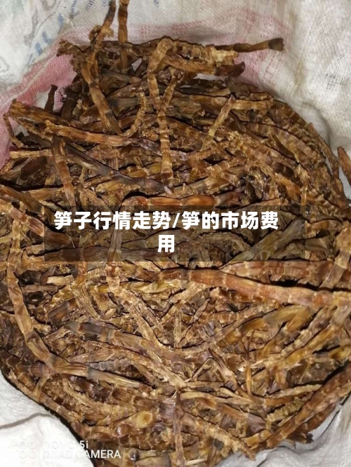 笋子行情走势/笋的市场费用