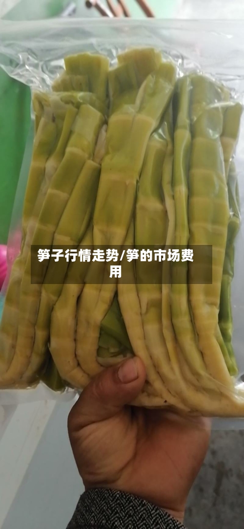 笋子行情走势/笋的市场费用