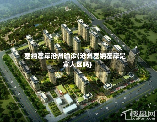 塞纳左岸沧州确诊(沧州塞纳左岸是富人区吗)