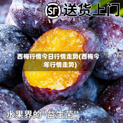 西梅行情今日行情走势(西梅今年行情走势)