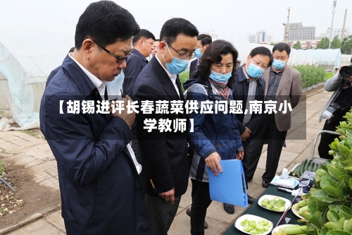 【胡锡进评长春蔬菜供应问题,南京小学教师】